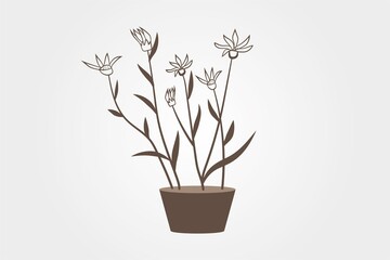 flower line art isolated vector illustration