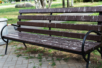 A park bench stained with pigeon droppings