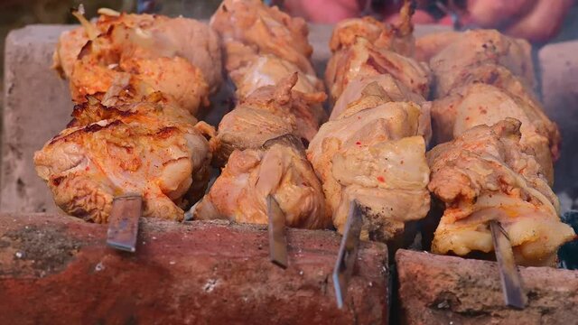 Man fries tradition kebabs shashlik on picnic 