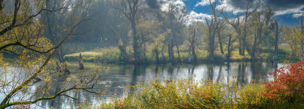 Autumn colors in different panorama shots in green and brown tones along the Danube near Bavaria