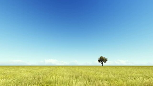 Singl autumn tree on a yellow meadow