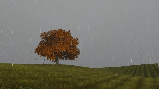 Rain Autumn one tree on the field yellow falling 