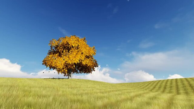 Autumn sing yellow tree 3D render