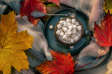 Autumn still life on a wooden background with a cup of cocoa and marshmallows, an openwork coffee...