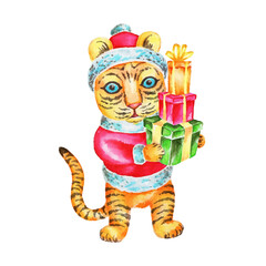New Year Tiger cub in red costume holding gift boxes, hand painted watercolor illustration isolated on white background. Cute surprised Santa Tiger is a symbol of new year 2022