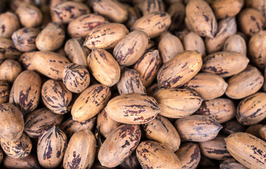 Pecan nuts are a lot of pile as background and texture. The concept of useful foods and proper nutrition, natural vitamins and minerals not cleaned in the shell, antioxidants
