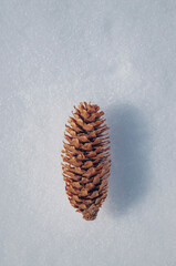 Christmas background with pine branches and cones on the snow, copy space. Merry christmas and happy new year celebration concept. winter. frosted evergreen branches and pine cones. winter background