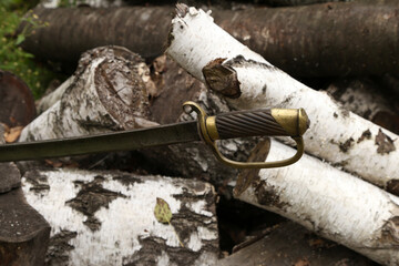 hilt of an antique saber