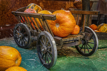 autumn background of ripe pulpy pumpkins on a wooden cart