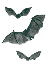 Black and white Halloween illustration. Abstract watercolor images of night animals. Set of flying bats in different poses for decorating cards or posters. Traditional symbol of mystic All Saints’ Day