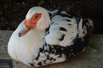 Some photos from the sea and wildlife in Syracuse, ancient city built by Greeks, taken during a summer trip to Sicily.