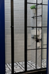 Contemporary shower room interior with loft black metal frame door. House Plants in pot