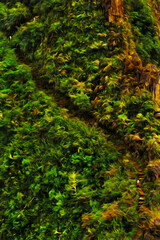 Trail through steep cliff with rainforest in the Peruvian Andes. The highest region with the largest mountain range in America. Oil paint filter.