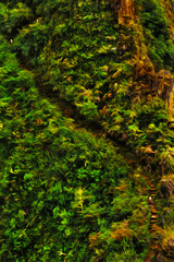 Trail through steep cliff with rainforest in the Peruvian Andes. The highest region with the largest mountain range in America. Oil paint filter.