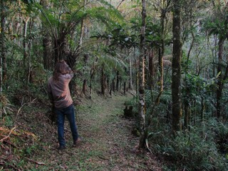 Person in the forest