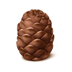 3d realistic vector icon. Pine cone. Isolated on white background.
