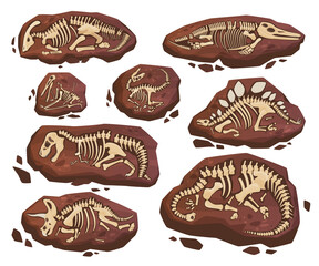 Fossil dinosaur skeletons set vector illustration. Collection paleontology historical finds stones © Vikivector