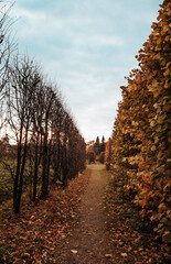 narrow street in autumn