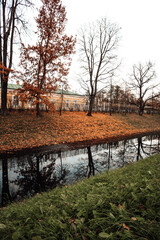 Naklejka premium autumn in the park