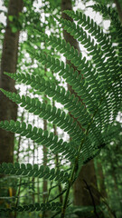 Macro green fern growing in moody summer forest background texture