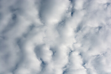 Obraz premium Abstract background of dense clouds.