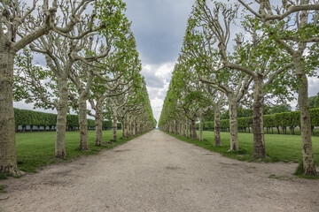 Public Park of Observatory at terrace of old castle of Meudon. Central alley lined with plane trees. Municipality of Meudon (in southwestern suburbs of Paris), Hauts-de-Seine, Ile-de-France, France.