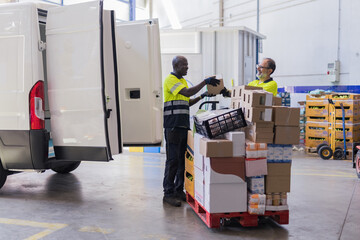 Volunteer preparing the van for distribute