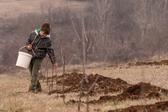 Planting Fruit Trees