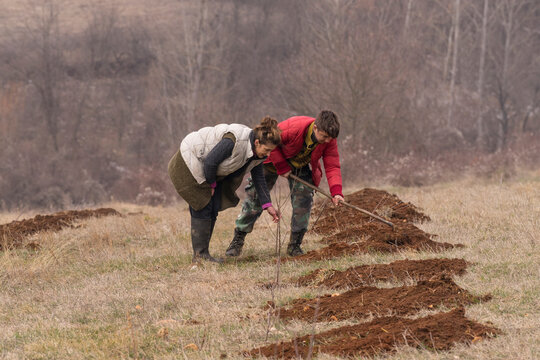 Planting Fruit Trees
