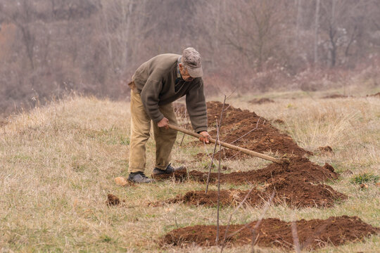 Planting Fruit Trees