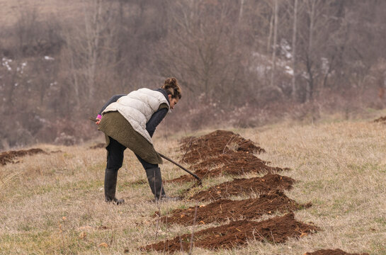 Planting Fruit Trees