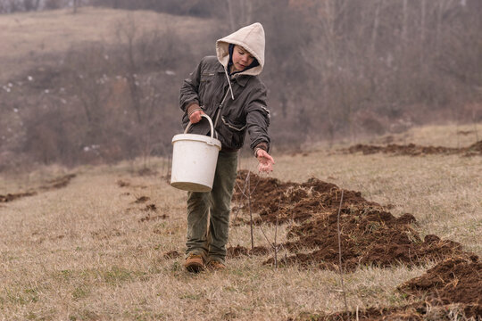Planting Fruit Trees