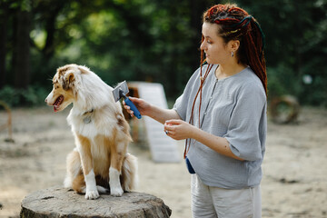 Girl caring about appearance of her pet 