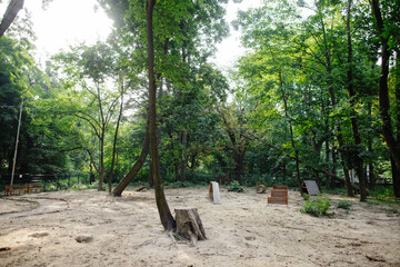 Playground for dog training 