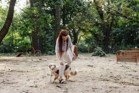 Dog fooling around with owner outdoor 