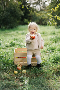 Funny kid with apple in orchard