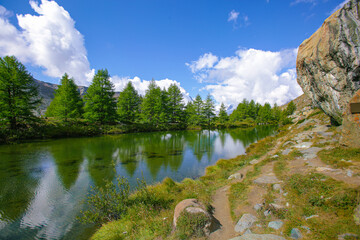 Swiss alps with pine trees and green grass next to a mountain lake in Zermatt, Switzerland