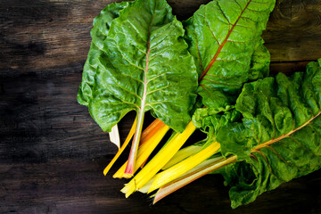 Multicolored chard leaves from the organic garden
