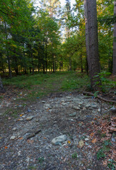 To lure their prey, hunters use old bread and other bio-waste. Swietokrzyskie Poland.