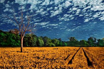Rural landscape of field with wheat plantation in a sunny day at Cambridge. A beautiful and peaceful university town in England. Oil paint filter.