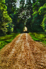 Landscape of dirt trail going through a grove in a sunny day at Cambridge. A beautiful and peaceful university town in England. Oil paint filter.