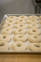 making bagels - raw dough formed into shape of bagels