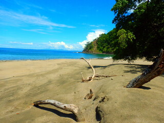 Costa Rica Pacific sea life