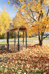 Autumn, a gazebo and a lot of maple leaves