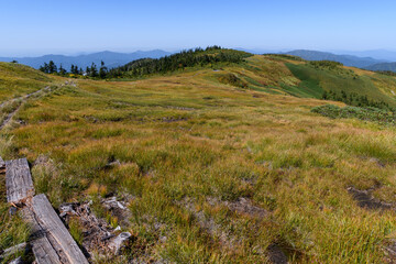 会津駒ヶ岳から中門岳に向かう登山道