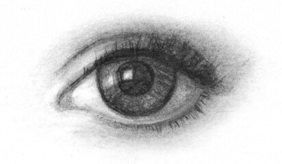 Realistic handdrawn sketch of beautiful woman eye