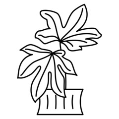 A fashionable indoor plant for a greenhouse, creating a microclimate in a room, office. Vector icon, outline, isolated, 48x48 pixel.