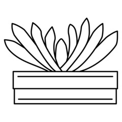 Succulent in a long pot. Vector icon, outline, isolated, 48x48 pixel.