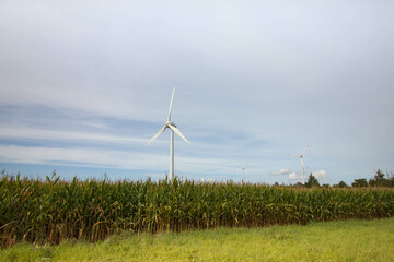a wind turbine transforming the kinetic energy in wind into mechanical power