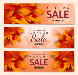 Set of Autumn sale posters design with bright Realistic yellow, red, orange leaves and advertising discount text decoration. Vector illustration.